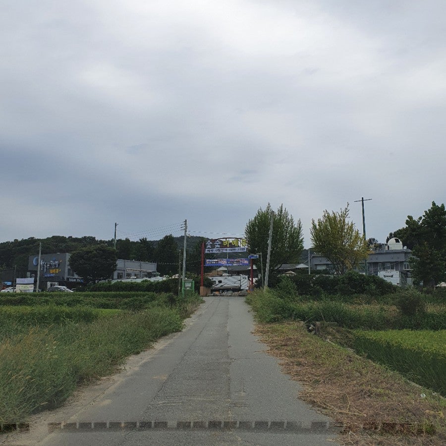 세종와촌숯숯 사진 1