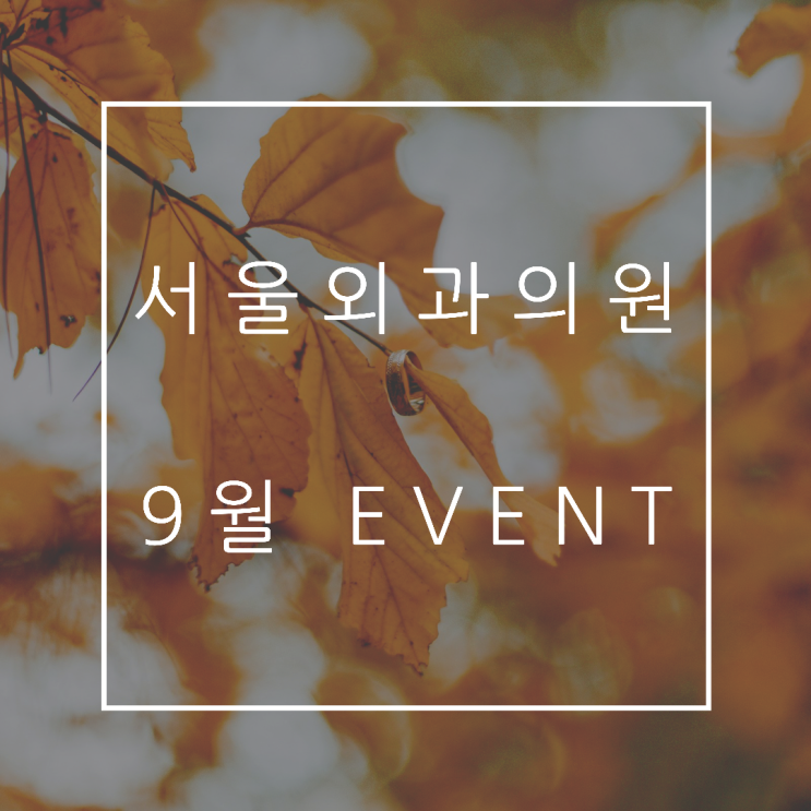  서울외과의원 9월 EVENT, 가격안내