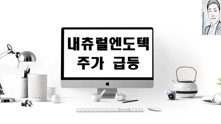  내츄럴엔도텍 주가 급등
