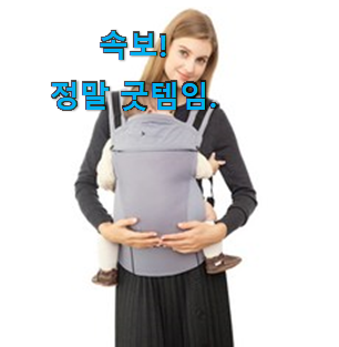 놀라운 가성비 아기띠 베스트 선택 친구가 더 좋아해요.