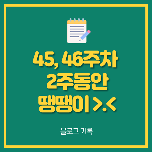  이 주 동안 땡땡이 누우면 잠듭니다 뚜둥