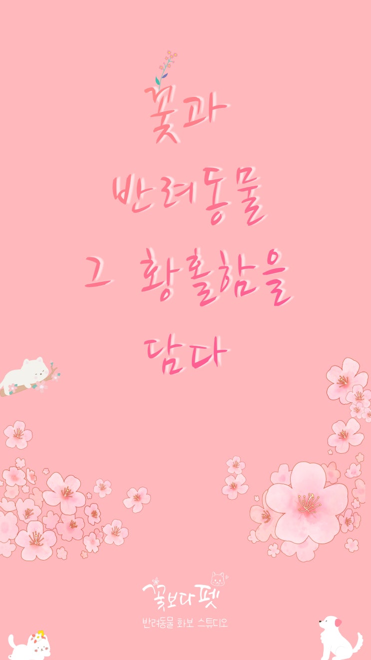  꽃과 반려동물 그 황홀함을 담다