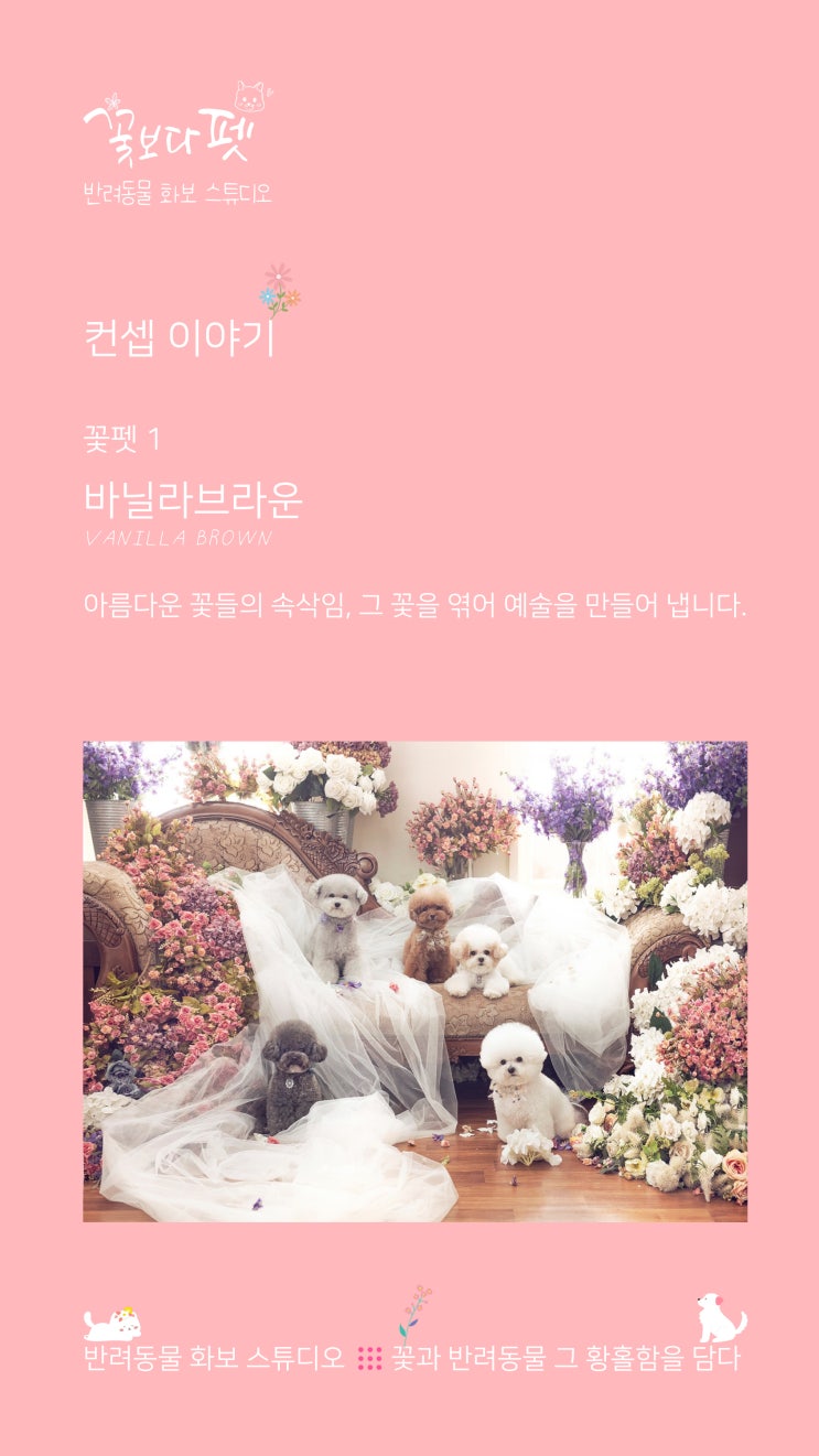 꽃펫 1 바닐라브라운