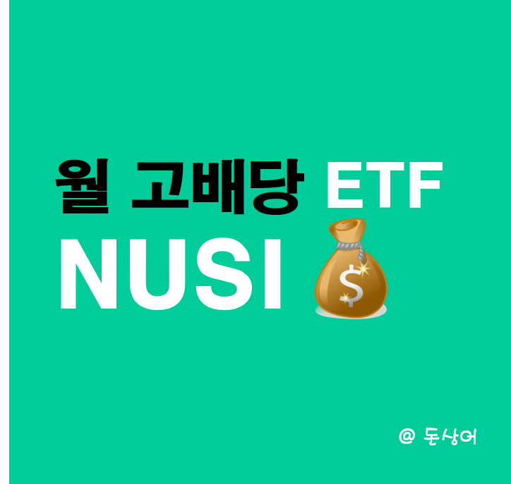  NUSI - 달마다 고배당 지급하는 ETF