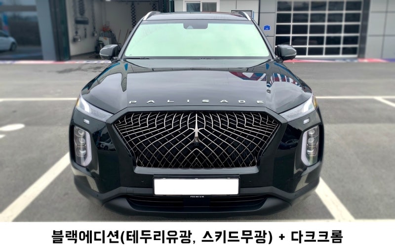 고양 덕양구 / 랩핑 / 현대 / 팰리세이드