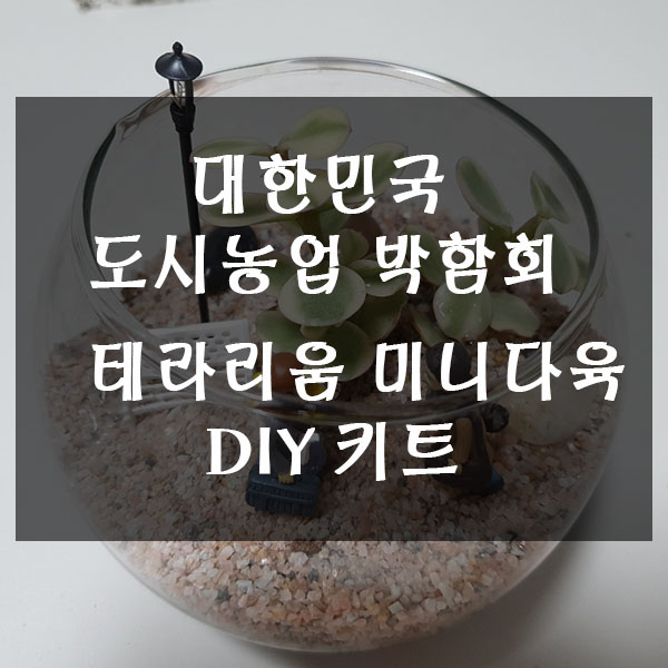  대한민국도시농업박람회 체험프로그램 테라리움 미니 다육 DIY키트
