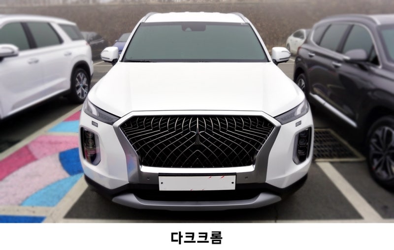 고양 덕양구 / 랩핑 / 현대 / 팰리세이드