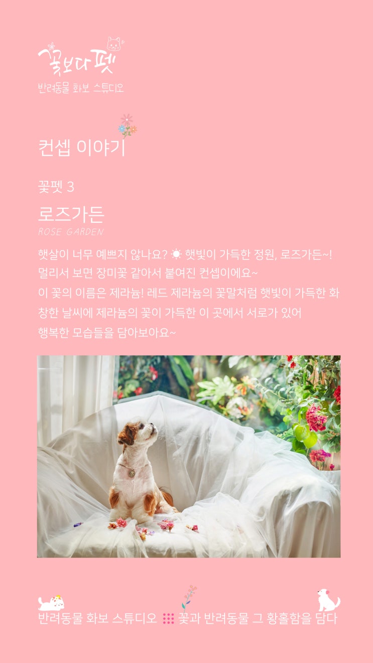  꽃펫 3 로즈가든