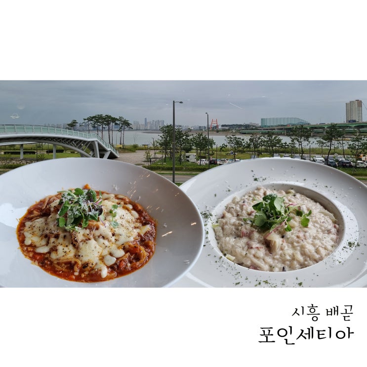  시흥 뷰맛집 파스타맛집 정왕동 포인세티아 다녀왔어요