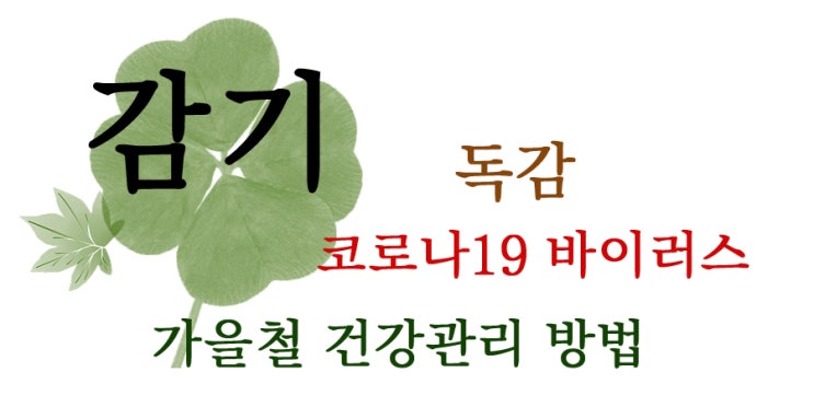  가을철 건강. 독감. 감기. 코로나19 바이러스