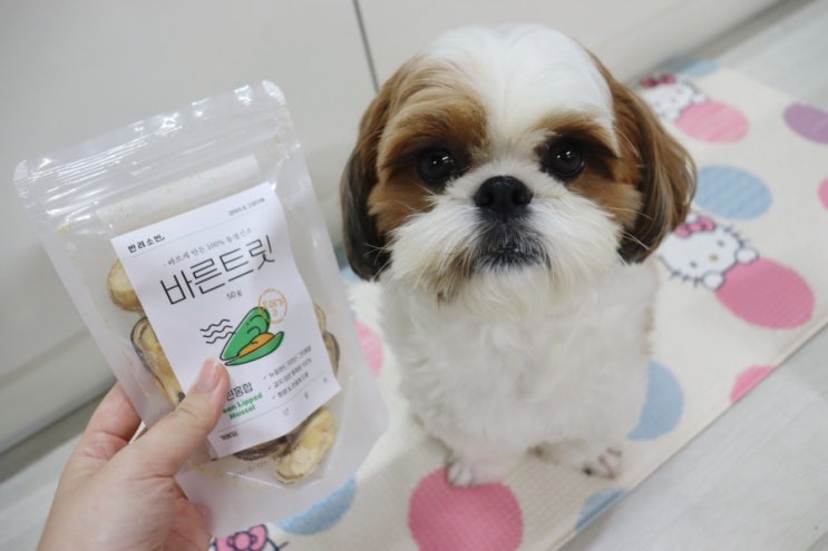  강아지 동결건조 간식, 바른트릿 초록입홍합 매일 챙기는 이유