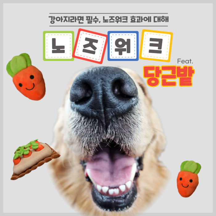  위트(Wit)에서 6기 에디터를 모집합니다!