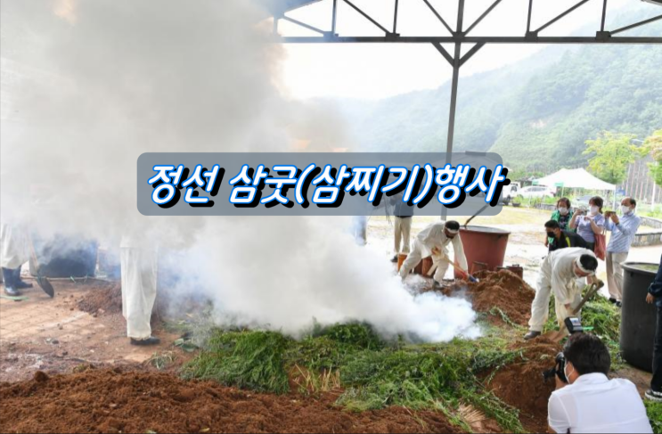 정선군 삼베길삼전승보전회 삼굿(삼찌기) 행사