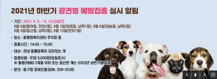  2021년 울산 하반기 광견병 무료 예방접종 안내-울산 동물약국 우리약국