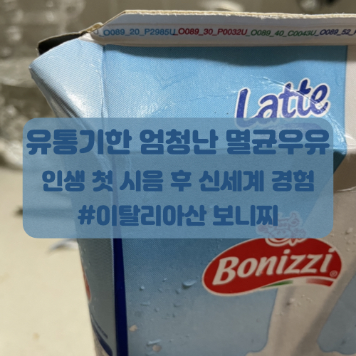  [멸균우유 단점과 장점] 수입멸균우유 보니찌 후기(유통기한 대박)