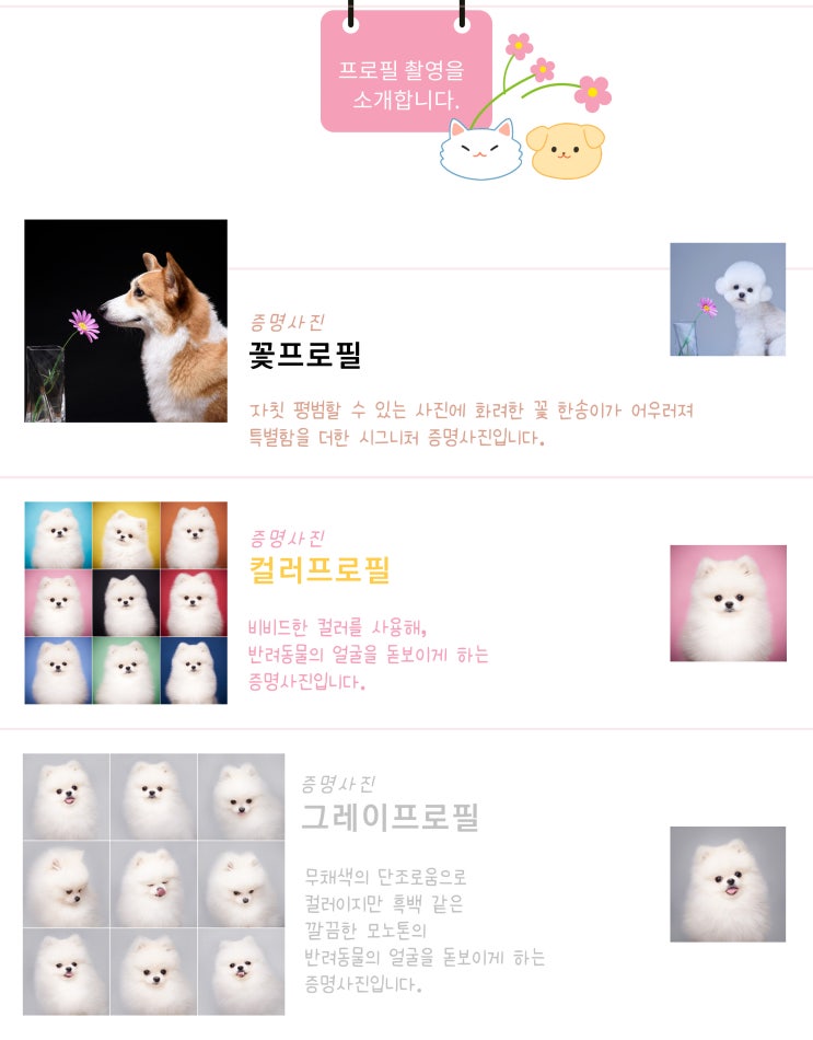  꽃.보다,펫 프로필(증명사진) 한눈에 보기
