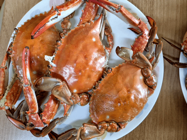  오늘뭐하지? 맛있게 꽃게 찌는법 / 꽃게 찌는 시간