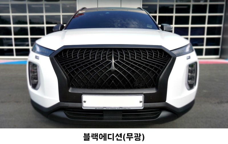 고양 덕양구 / 랩핑 / 현대 / 팰리세이드