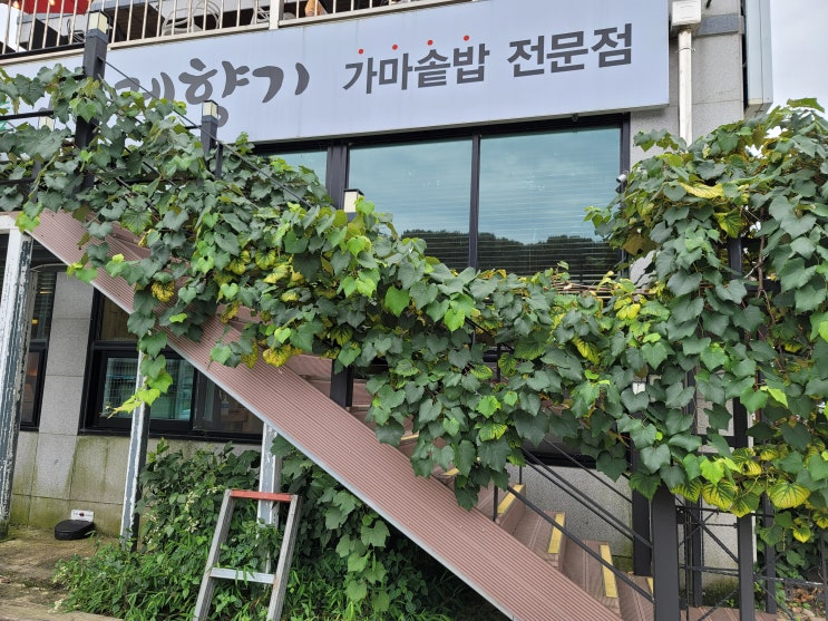  ［동탄］곤드레향기 동탄 본점, 동탄점심특선, 동탄한정식