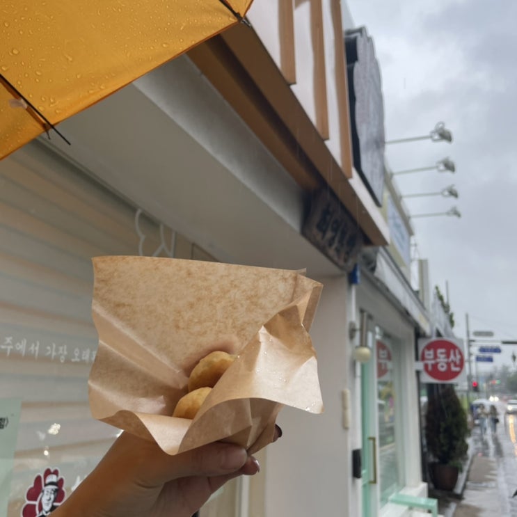  경주 황리단길 200% 즐기는 법(맛집,카페,소품샵 모든 것!)