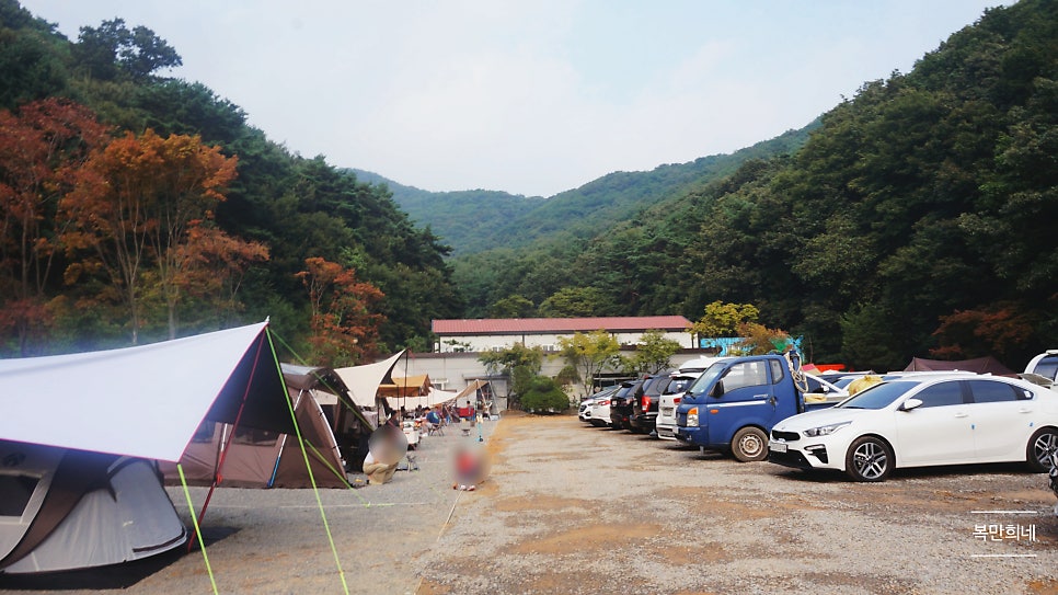 게누스 사진 4