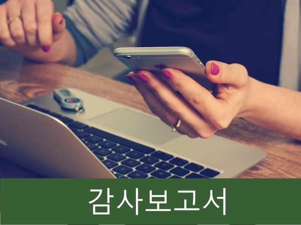  감사보고서 미제출 기업, 의견 거절이면 투자유의!!