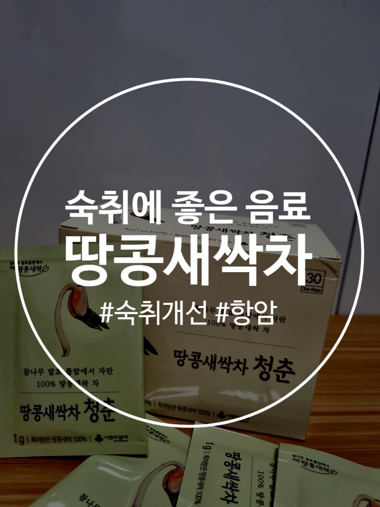  숙취에 좋은 음료 추천 고소하고 맛있는 청춘 땅콩새싹차