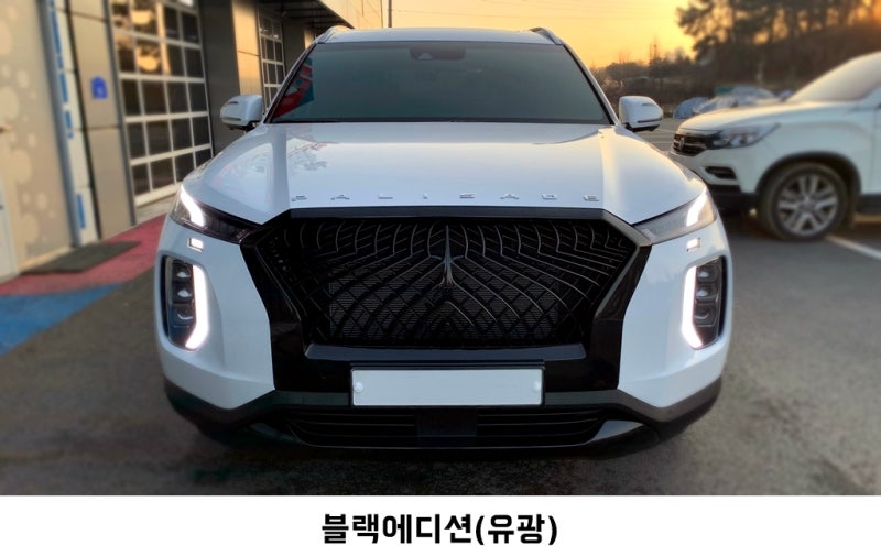고양 덕양구 / 랩핑 / 현대 / 팰리세이드