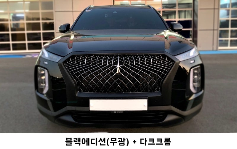 고양 덕양구 / 랩핑 / 현대 / 팰리세이드
