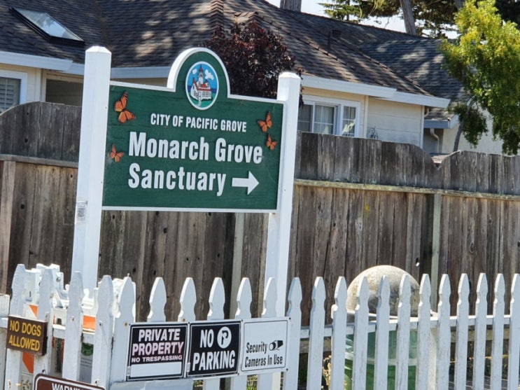  모나크 그로브 보호 구역 monarch Grove Sanstuary