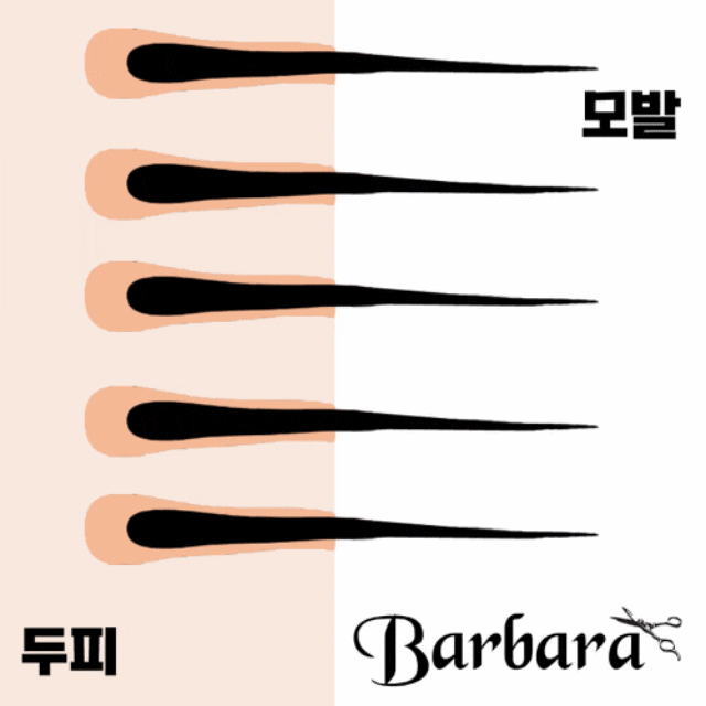  남자 다운펌 원리와 유지 기간, 주기, 부작용 등의 주의사항