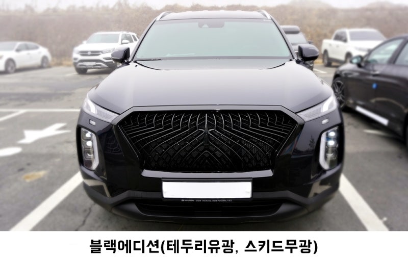 고양 덕양구 / 랩핑 / 현대 / 팰리세이드