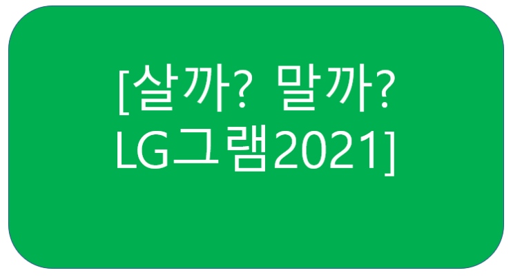 LG그램2021 살까말까... (LG GRAM)