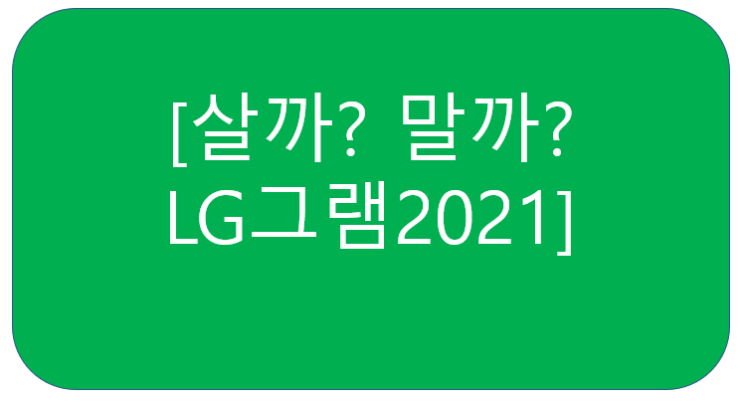  LG그램2021 살까말까... (LG GRAM)