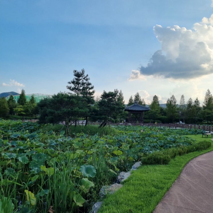 [충남 아산 가볼만한 곳]신정호 다녀왔습니다.