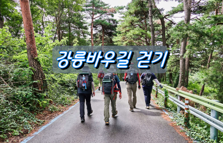 강릉바우길6구간 굴산사 가는길 걷기 강릉바우길6구간 굴산사 가는길 걷기