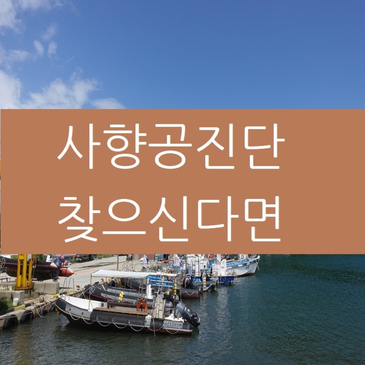  사향공진단 강서 양천 인천 지역에서 찾으신다면