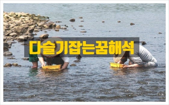 다슬기잡는꿈해석