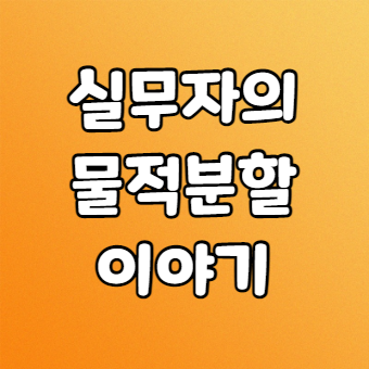  회계팀장의 물적분할 이야기