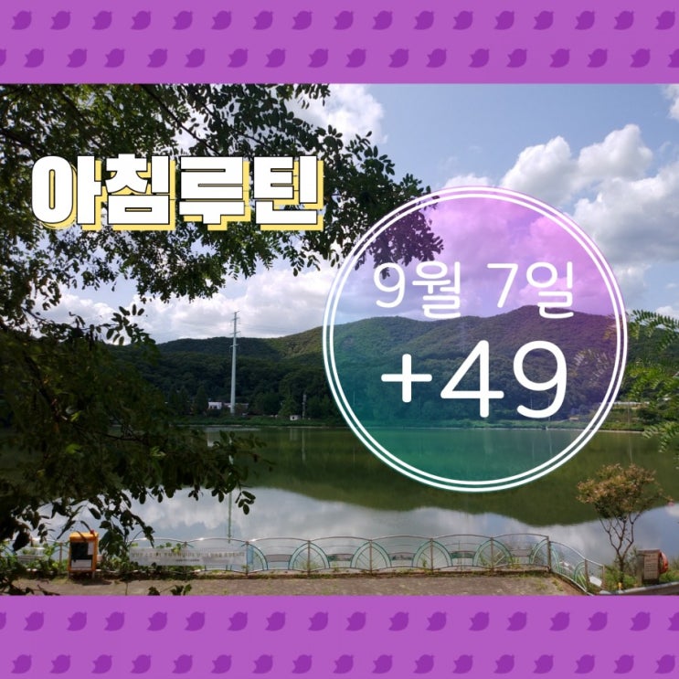  9월 7일 아침루틴