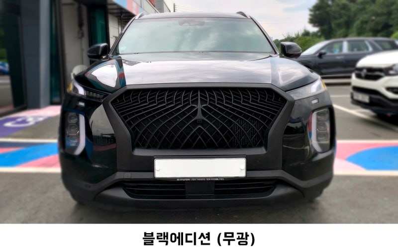 고양 덕양구 / 랩핑 / 현대 / 팰리세이드