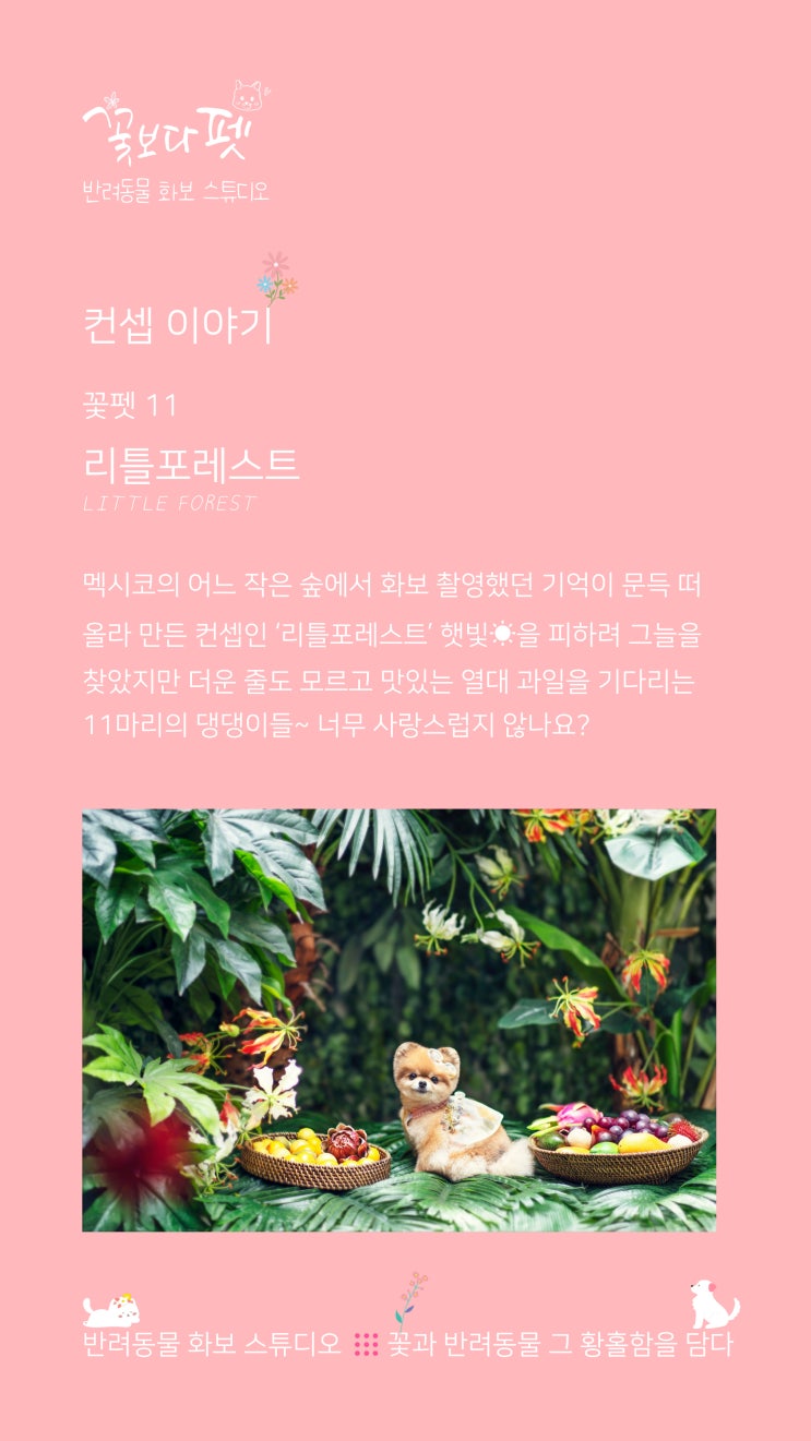  꽃펫 11 리틀포레스트