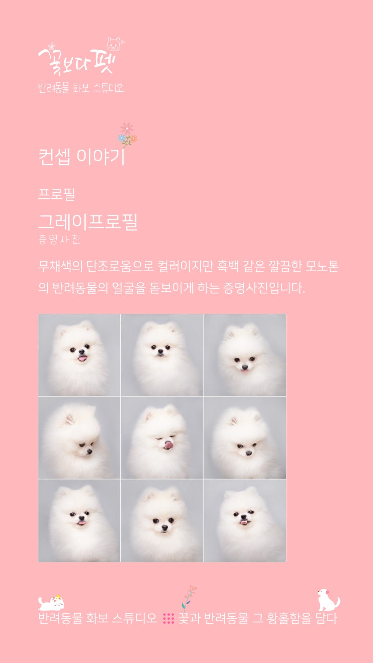  그레이프로필(증명사진)