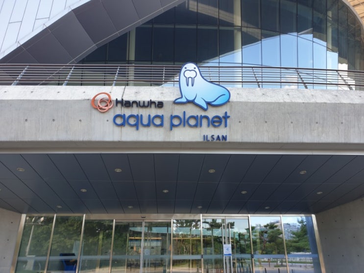  일산아쿠아플라넷 다녀온 후기 일산가볼만한곳