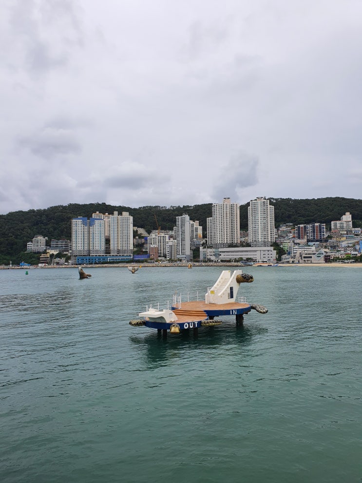  부산 드라이브코스 송도 구름산책로 시원한 바닷바람 최고