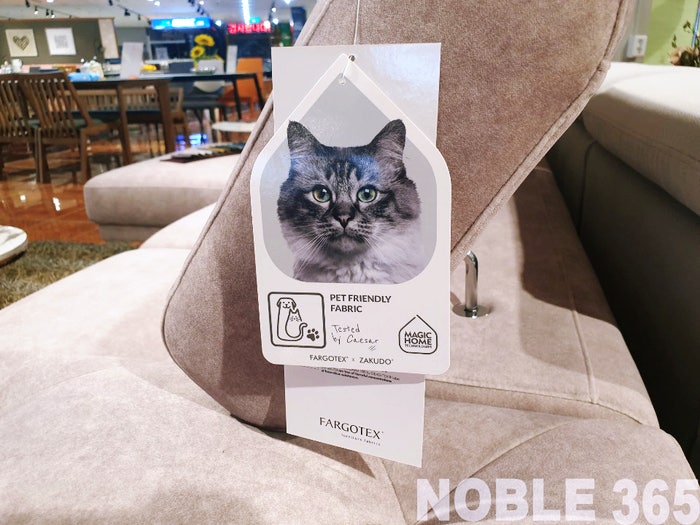 반려동물, 고양이 키우는 집 쇼파 추천! 고양이 소파, 강아지 쇼파로는 뭐가 좋을까요?