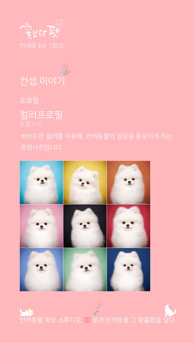  컬러프로필(증명사진)