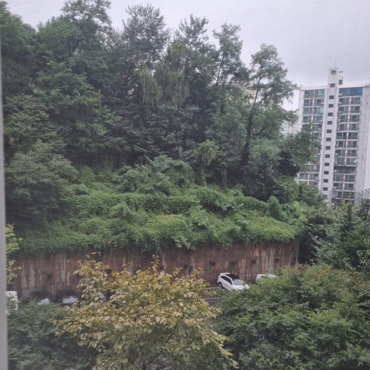  초록색 날파리 방충망도 뚫음