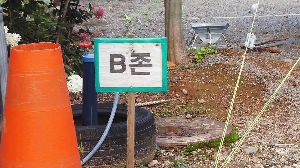 게누스 사진 2