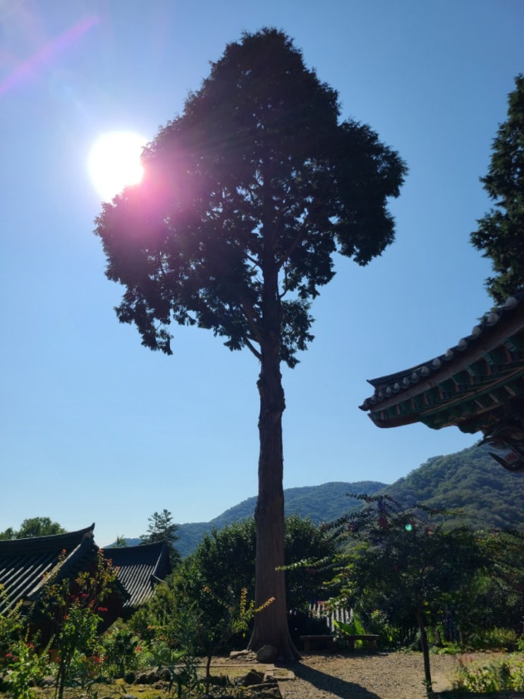  블로그씨가 묻습니다 나의 하루를^^